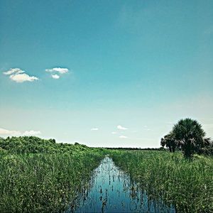 Meet your Posher, Alana